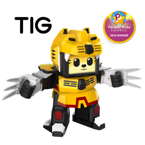 TIG