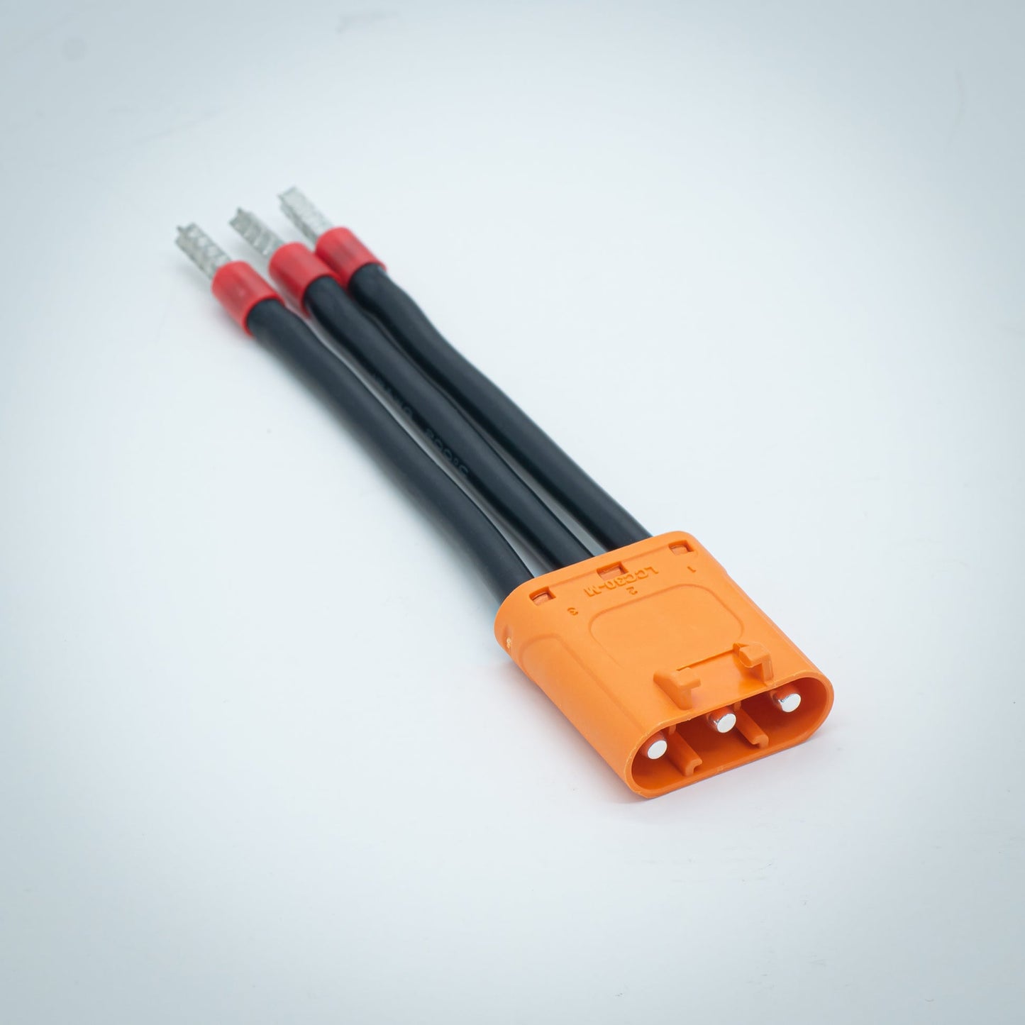 Motor Power cable - Ferrule Adapter Type: LCC30
